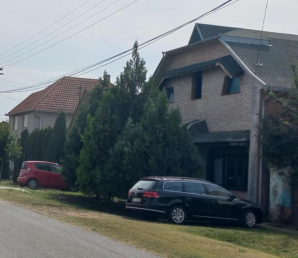 Kod Velikih Tuja Apartamento Melenci Exterior foto