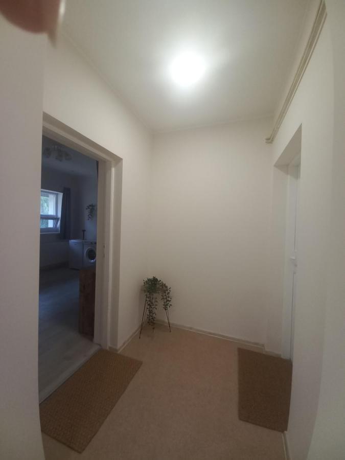 Kod Velikih Tuja Apartamento Melenci Exterior foto